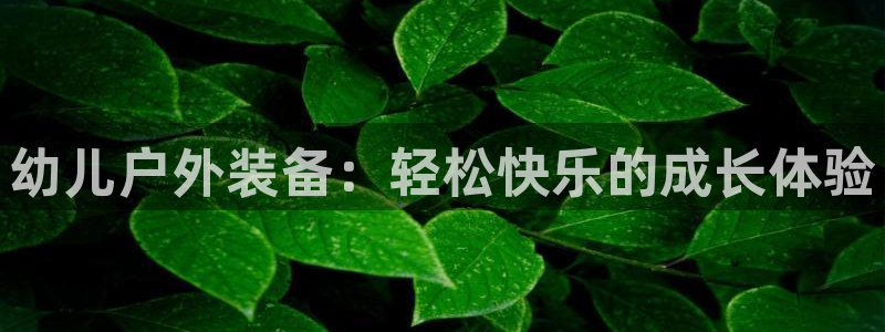 重庆新宝gg