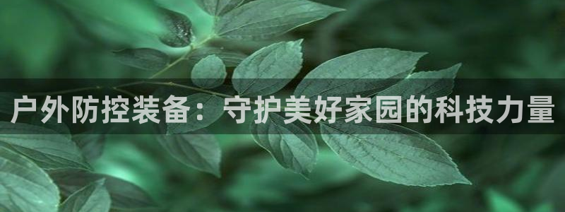 新宝gg工资