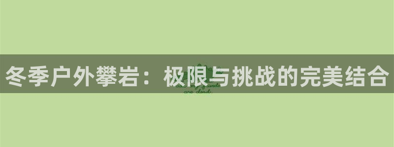 新宝gg手机版下载