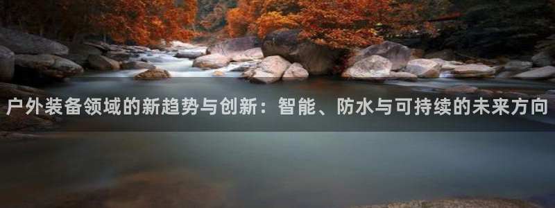 新宝gg介绍