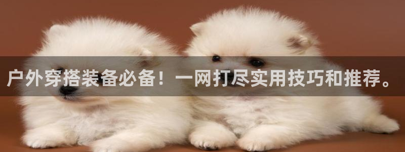 【新宝gg】