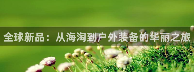 新宝gg创造奇迹平台