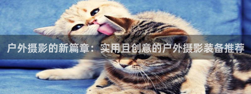 新宝GG速度