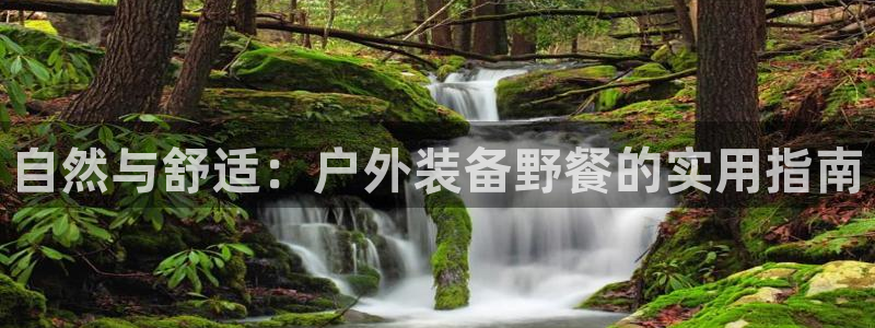 新宝 gg 下载