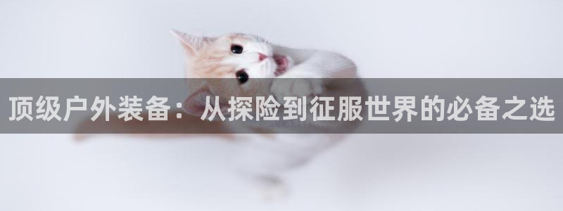 新宝gg娱乐官网
