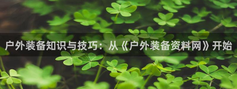 新宝gg 黑