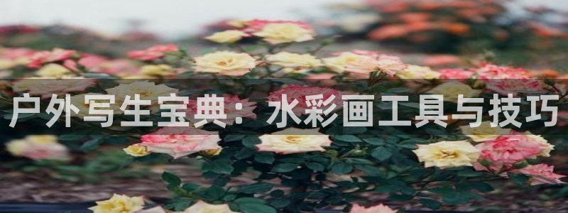 新宝gg是新宝几