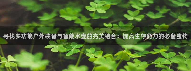 新宝gg 创