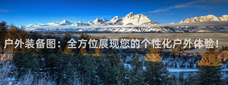 新宝gg招商致胜团队