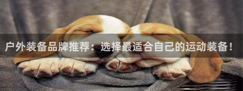 【新宝gg】