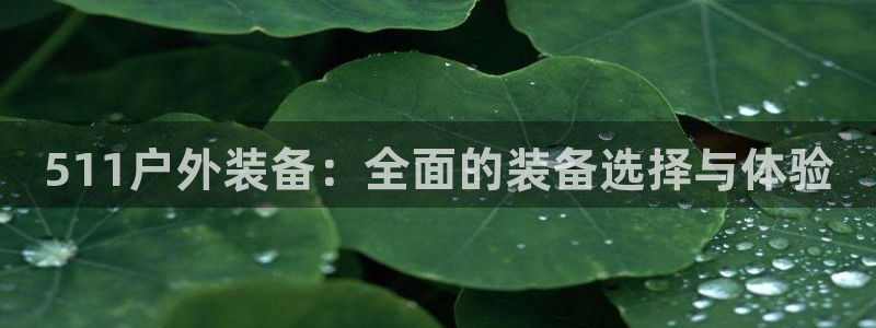 新宝gg代理