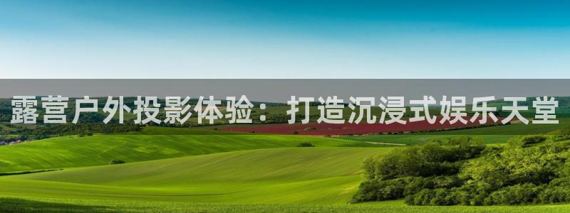 新宝GG玩家