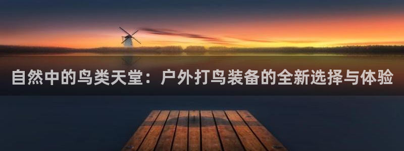 新宝gg客户登录