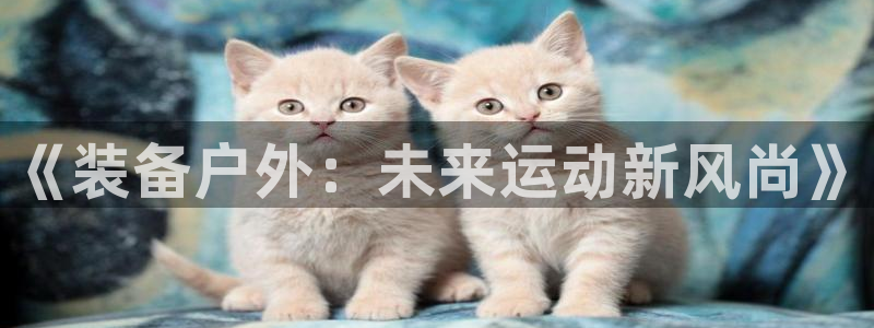 收新宝gg