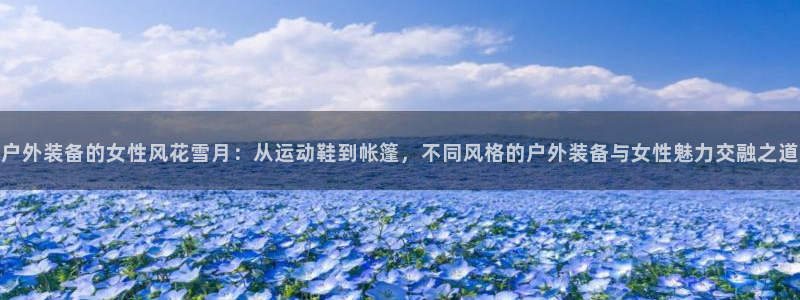 新宝gg 奇迹