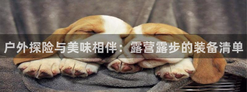 新宝gg官方主管