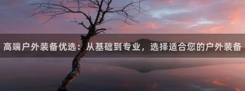 新宝gg客户登录