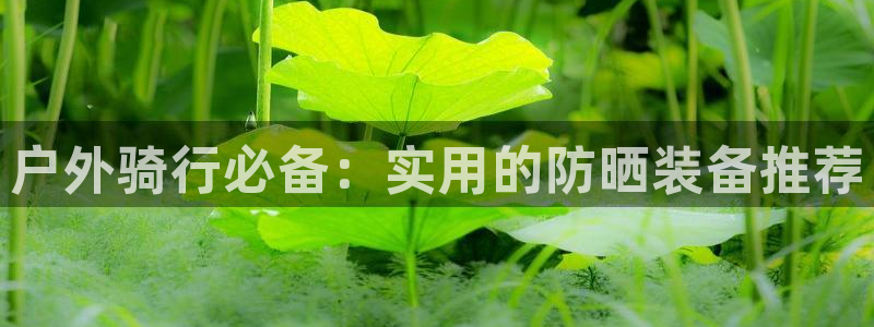新宝gg手机
