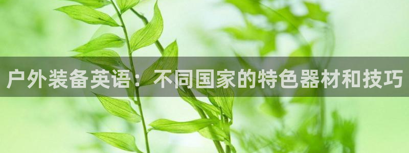 创造奇迹新宝gg