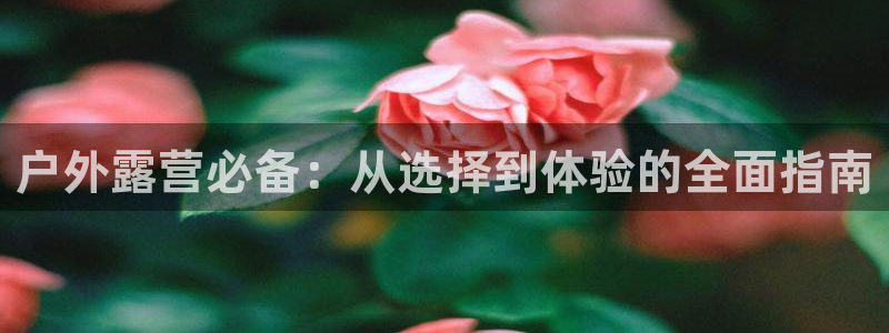 认准新宝gg