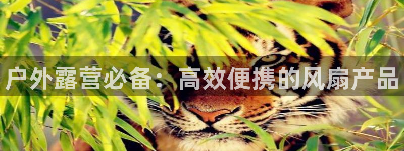 新宝gg手机版下载