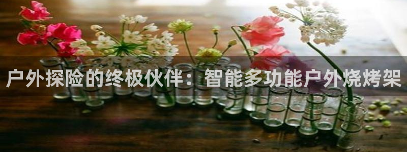 谁有新宝GG