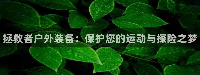 新宝GG用哪个网址登录