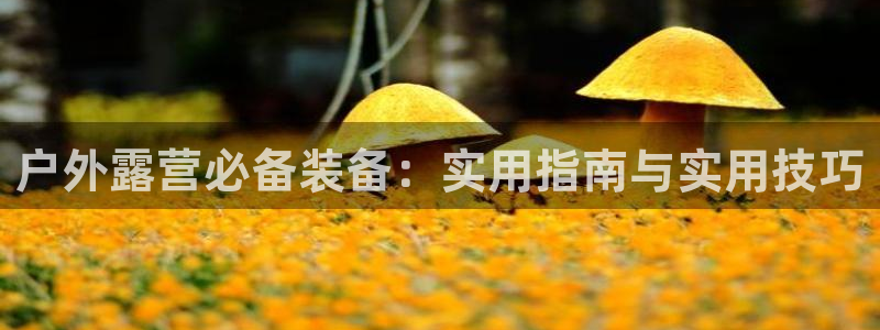 新宝gg登