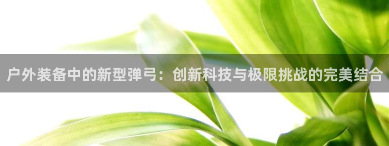 新宝 gg最新