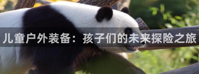 新宝GG于六七五一38