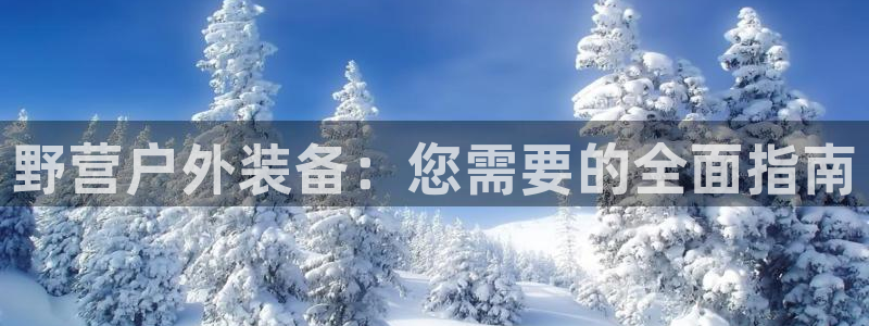新宝gg赚钱