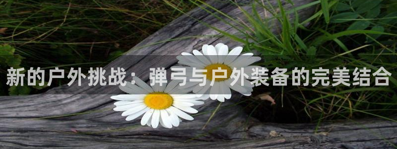 新 宝gg