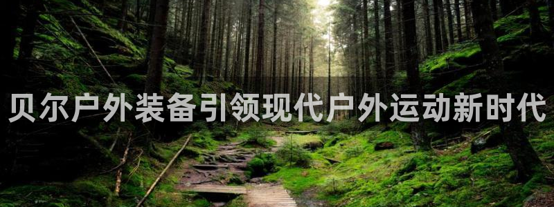 新宝gg会员登录