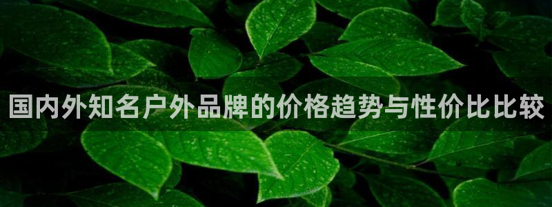 新宝gg工资
