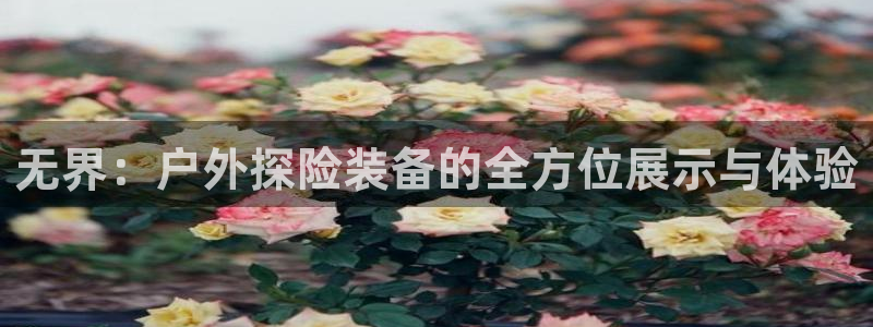 新宝gg官网