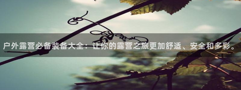 旧版新宝GG