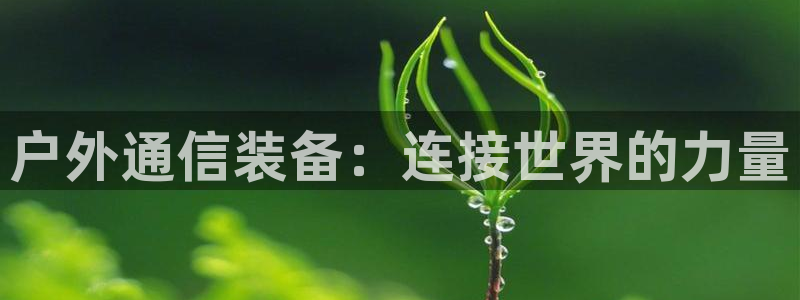 新宝gg登