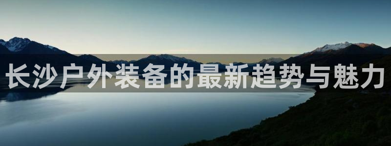 新宝gg ios下载