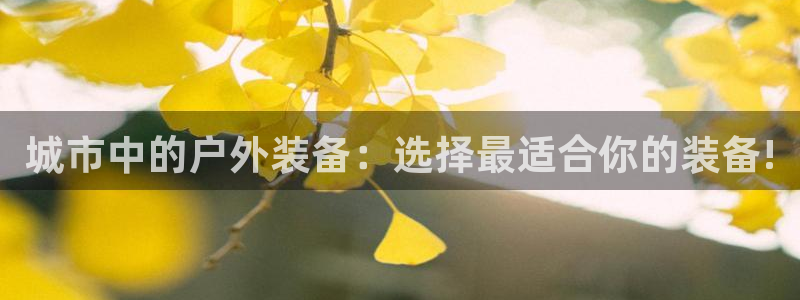 新宝gg佣金