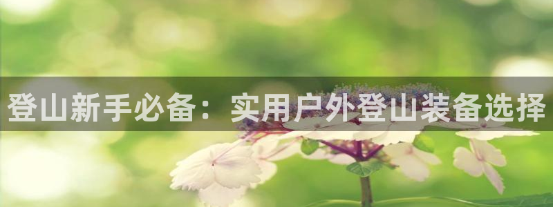 新宝gg主管开