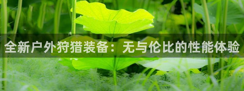 新宝gg   创造