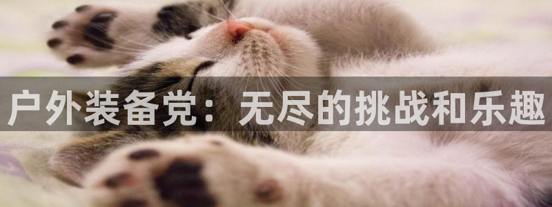 新宝gg联系