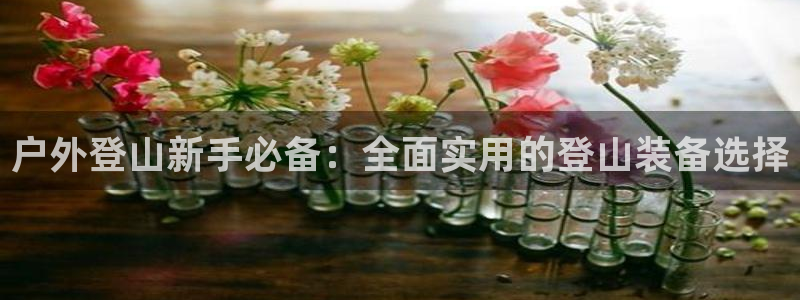 新宝GG的老板