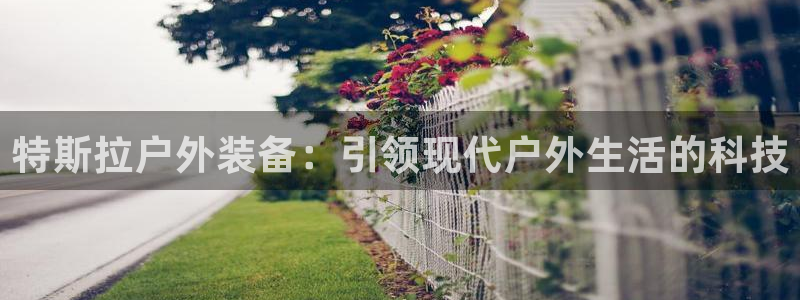 c新宝GG