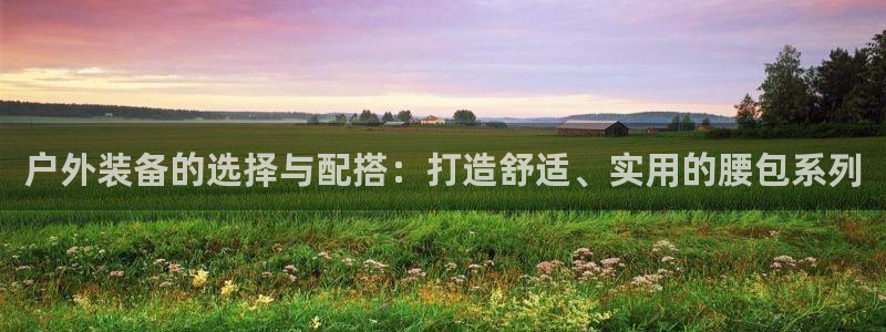 新宝GG专业团队