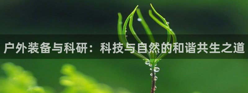 新宝gg作弊