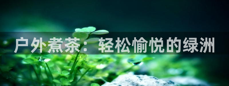 新宝gg工资