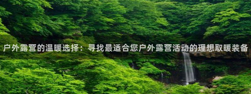 网站是新宝gg