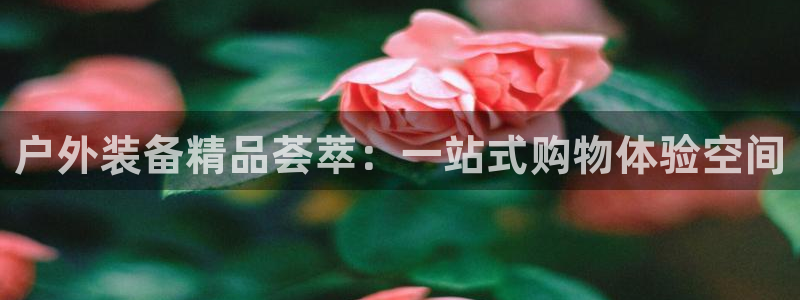 新宝GG勒55312