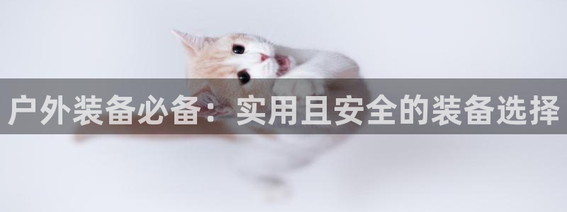 新宝gg合法吗